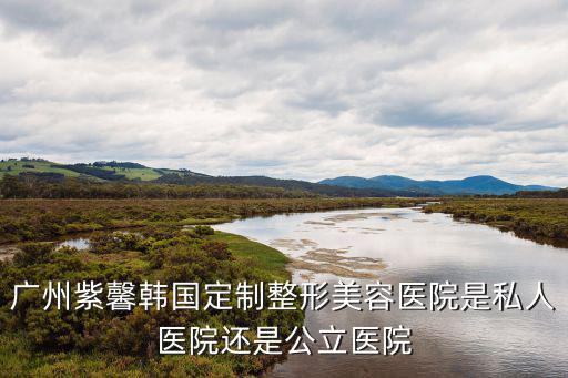 廣州紫馨韓國(guó)定制整形美容醫(yī)院是私人醫(yī)院還是公立醫(yī)院