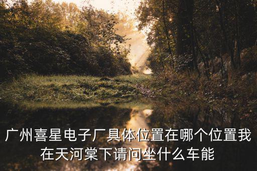 廣州喜星電子廠具體位置在哪個位置我在天河棠下請問坐什么車能