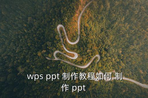  wps ppt 制作教程如何 制作 ppt