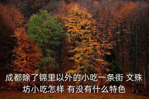 成都除了錦里以外的小吃一條街 文殊坊小吃怎樣 有沒有什么特色