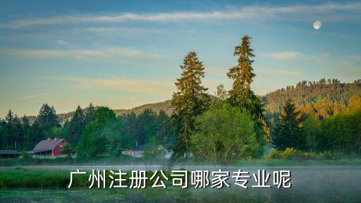 廣州注冊公司哪家專業呢