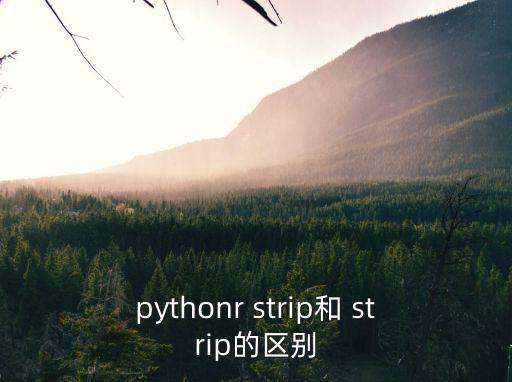 pythonr strip和 strip的區(qū)別