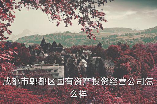 成都市郫都區國投集團，國家開發投資集團公司成都分公司在哪里