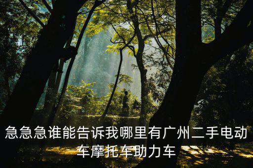 急急急誰能告訴我哪里有廣州二手電動車摩托車助力車