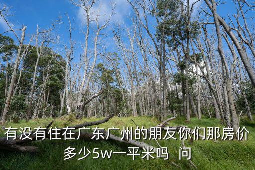 有沒有住在廣東廣州的朋友你們那房價多少5w一平米嗎  問