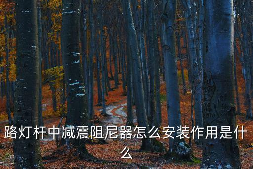 路燈桿中減震阻尼器怎么安裝作用是什么