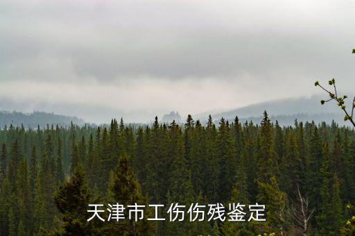 天津市工傷傷殘鑒定