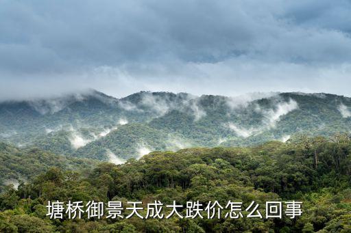 京基御景天巒府怎么樣，葛店開發區御景天成的房子怎樣樣