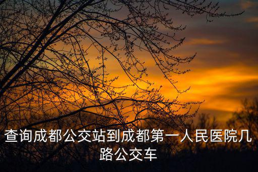 查詢成都公交站到成都第一人民醫院幾路公交車