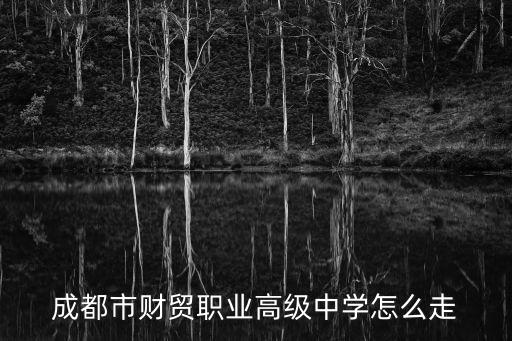 成都市財貿職中報名入口，成都市財貿職高