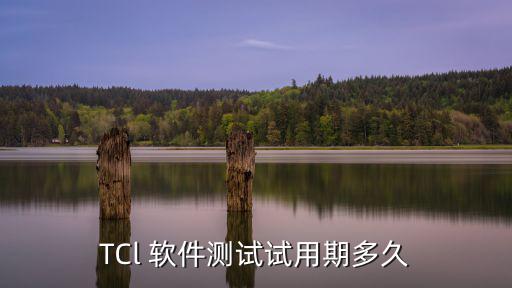 TCl 軟件測(cè)試試用期多久