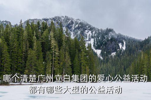哪個清楚廣州立白集團的愛心公益活動都有哪些大型的公益活動