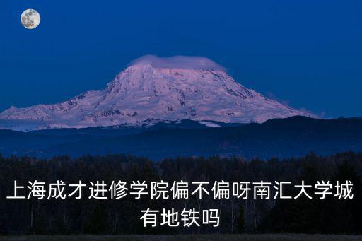 上海成才進修學院偏不偏呀南匯大學城有地鐵嗎