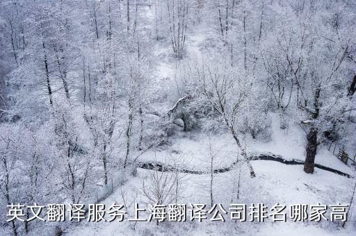英文翻譯服務上海翻譯公司排名哪家高