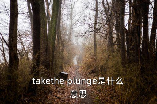 takethe plunge是什么意思