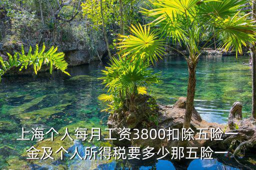 上海個(gè)人每月工資3800扣除五險(xiǎn)一金及個(gè)人所得稅要多少那五險(xiǎn)一