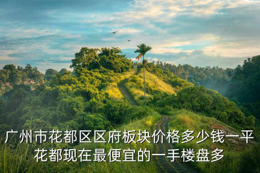 廣州市花都區(qū)區(qū)府板塊價(jià)格多少錢一平花都現(xiàn)在最便宜的一手樓盤多