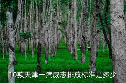 10款天津一汽威志排放標(biāo)準(zhǔn)是多少