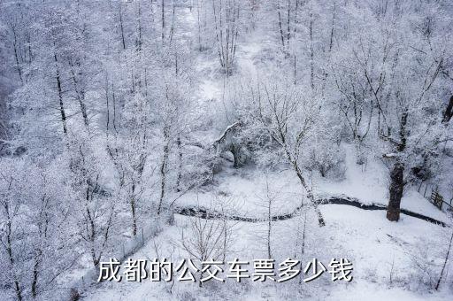 成都的公交車票多少錢