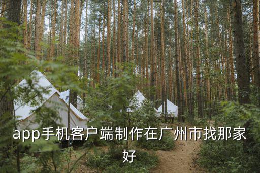 app手機客戶端制作在廣州市找那家好