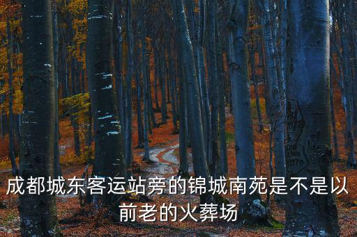 成都城東客運(yùn)站旁的錦城南苑是不是以前老的火葬場