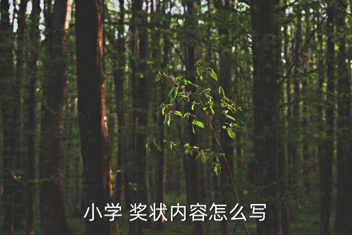 小學 獎狀內容怎么寫