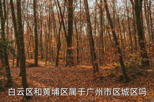 廣州市黃浦區地域范圍，廣州黃埔區在哪