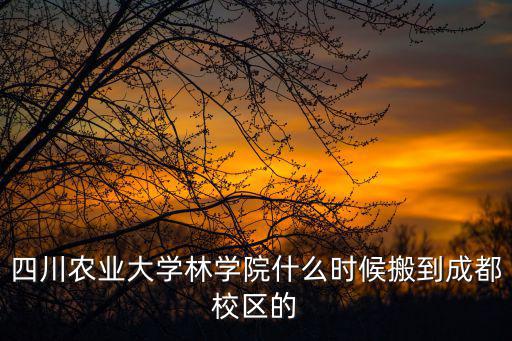 四川農業大學林學院什么時候搬到成都校區的
