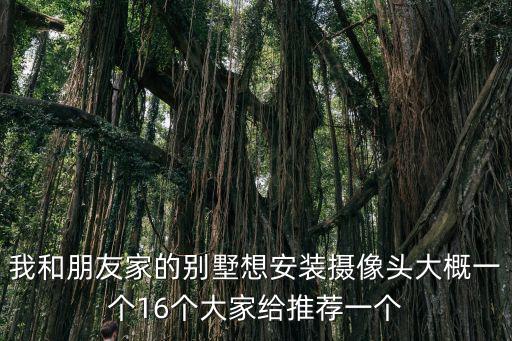 我和朋友家的別墅想安裝攝像頭大概一個16個大家給推薦一個