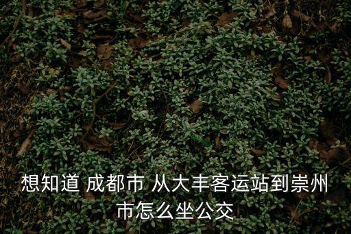 想知道 成都市 從大豐客運(yùn)站到崇州市怎么坐公交