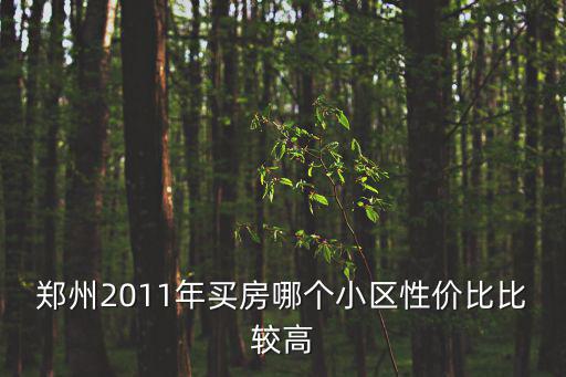 鄭州最好的小區排名，鄭州2011年買房哪個小區性價比比較高