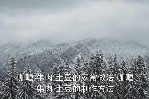 土豆咖喱牛肉,秘制咖喱牛肉湯怎么做?