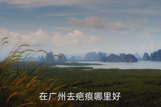 在廣州去疤痕哪里好