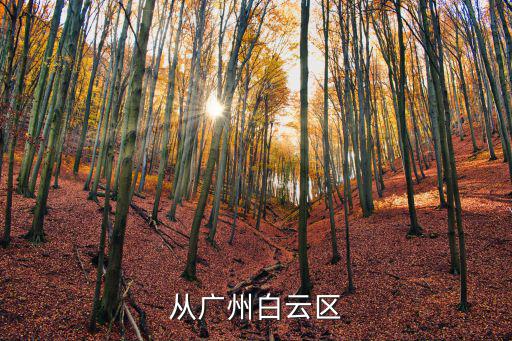 從廣州白云區