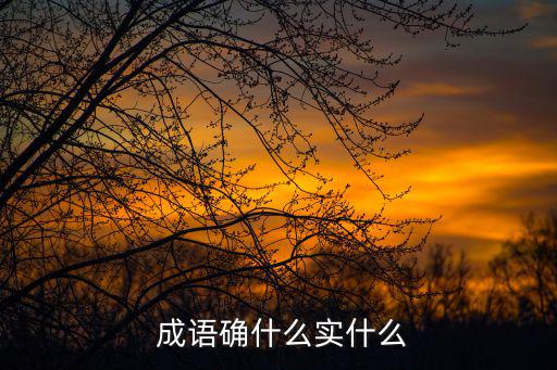  成語確什么實什么