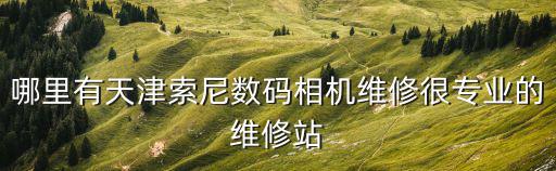 哪里有天津索尼數碼相機維修很專業的維修站