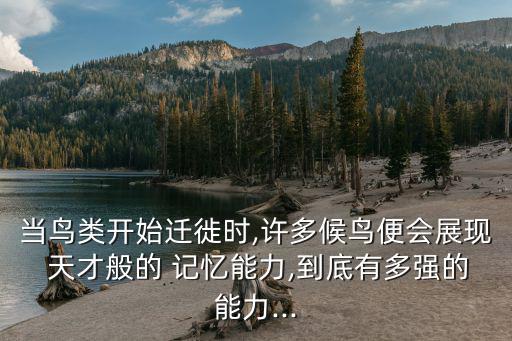 記憶天才,記憶force可加密信息原始數據但不是記憶力