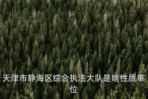 天津市靜海區綜合執法大隊是啥性質單位