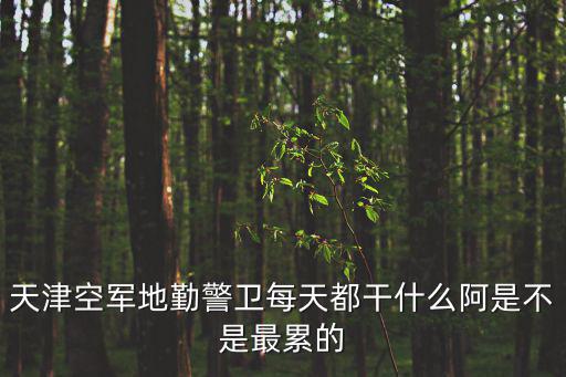 天津市空軍地勤，天津空軍地勤警衛每天都干什么阿是不是最累的