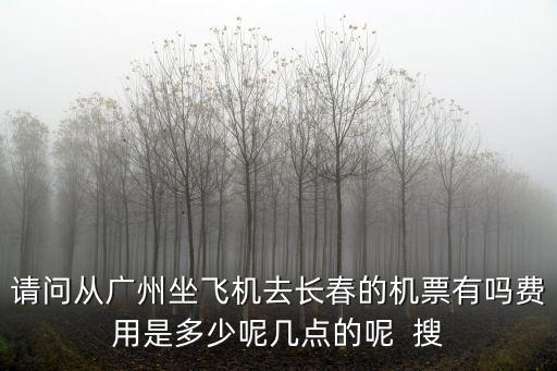 請問從廣州坐飛機去長春的機票有嗎費用是多少呢幾點的呢  搜