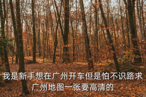 廣州高清全圖，誰幫我找下廣州的最新地圖