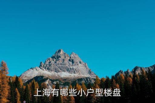 上海有哪些小戶型樓盤