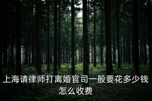 上海請律師打離婚官司一般要花多少錢怎么收費