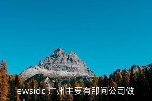 ewsidc 廣州主要有那間公司做