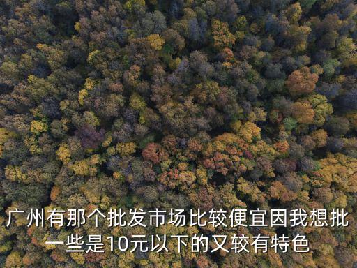 廣州有那個批發市場比較便宜因我想批一些是10元以下的又較有特色