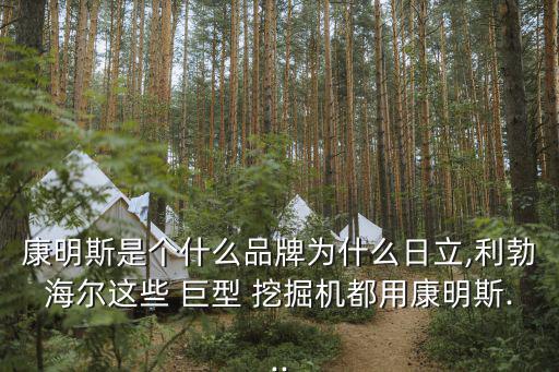 康明斯是個什么品牌為什么日立,利勃海爾這些 巨型 挖掘機都用康明斯...