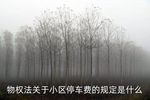物權(quán)法關(guān)于小區(qū)停車費的規(guī)定是什么