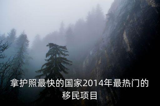 拿護照最快的國家2014年最熱門的移民項目