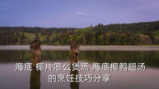 海底椰片,火鍋雞翅膀怎么做?