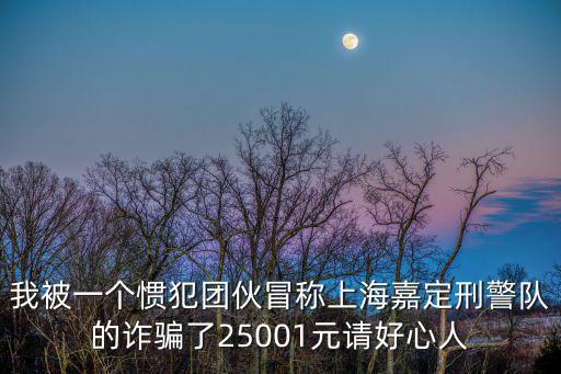 我被一個慣犯團伙冒稱上海嘉定刑警隊的詐騙了25001元請好心人